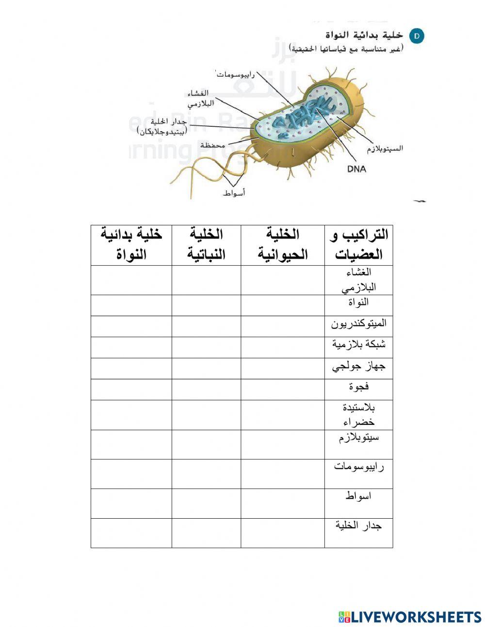 تركيب الخلية