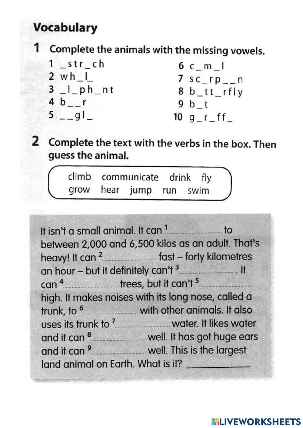 Review 1 year 5 page 40