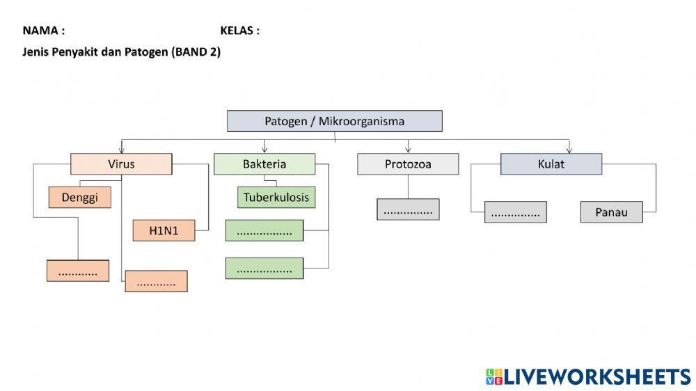 Jenis Penyakit dan Patogen