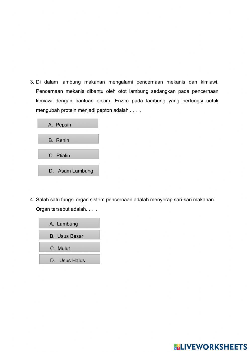 LKPD -sistem pencernaan manuasia-