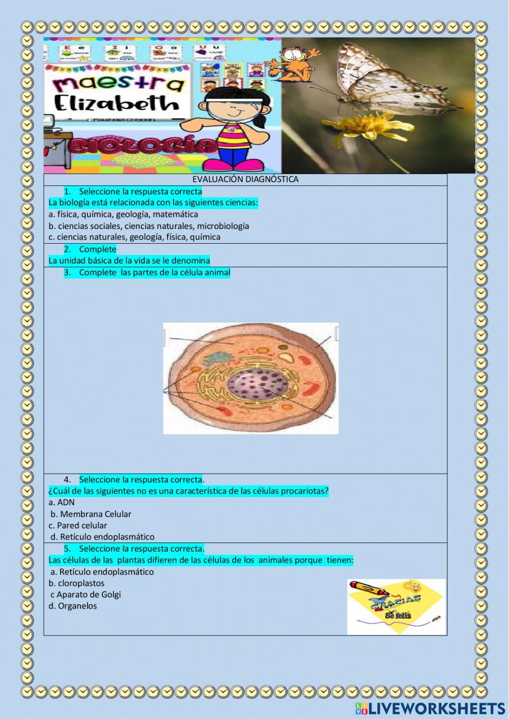 Evaluación diagnóstica