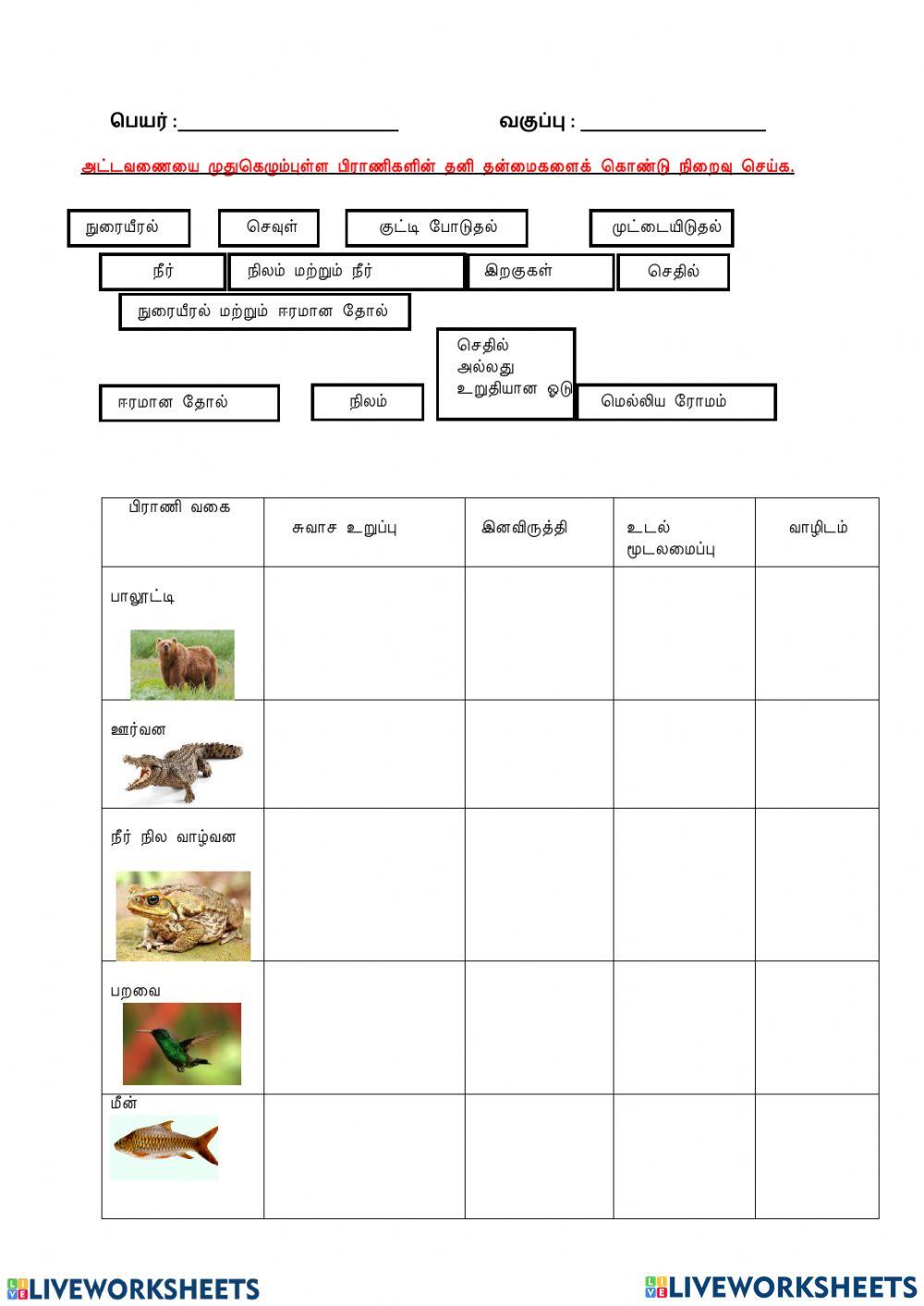 முதுகெலும்பு  உள்ளவையின்  தனித்தன்மை