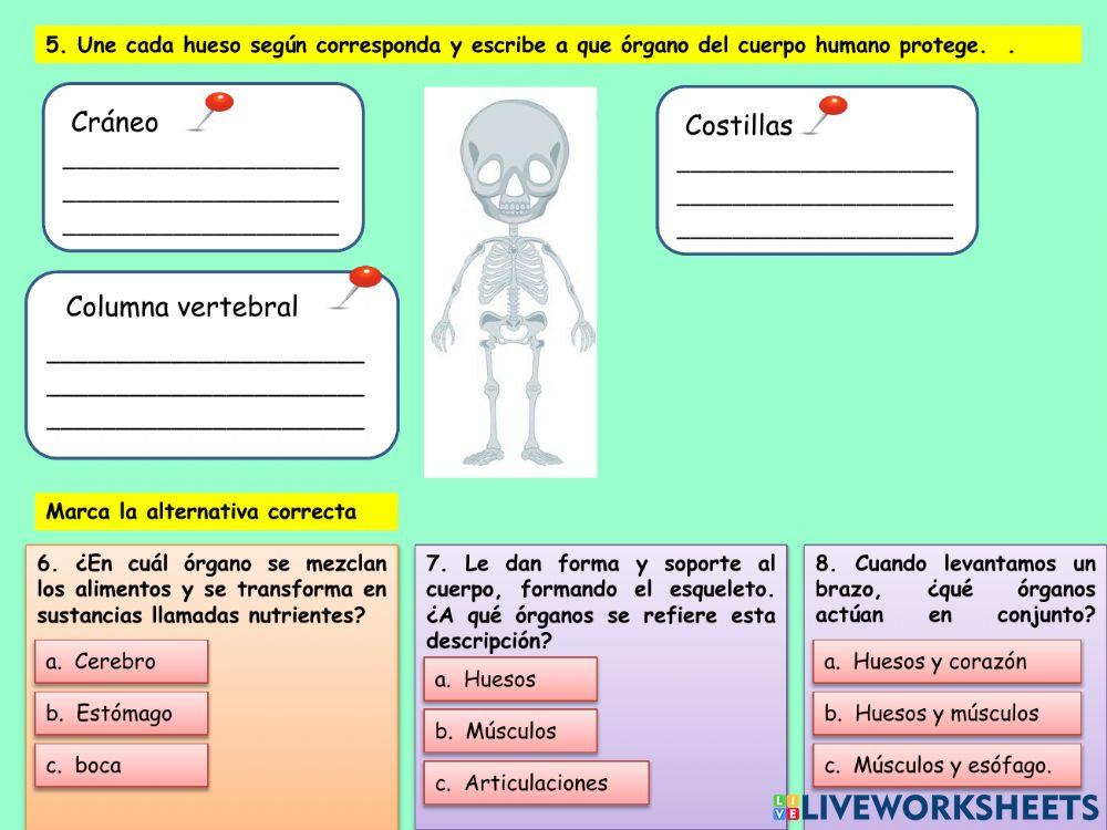 Evaluación de Ciencias Naturales