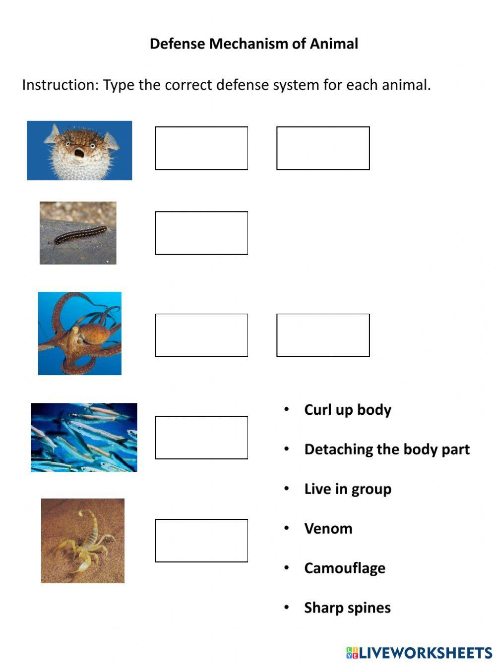 Sublimation Meaning Defense Mechanism Worksheet