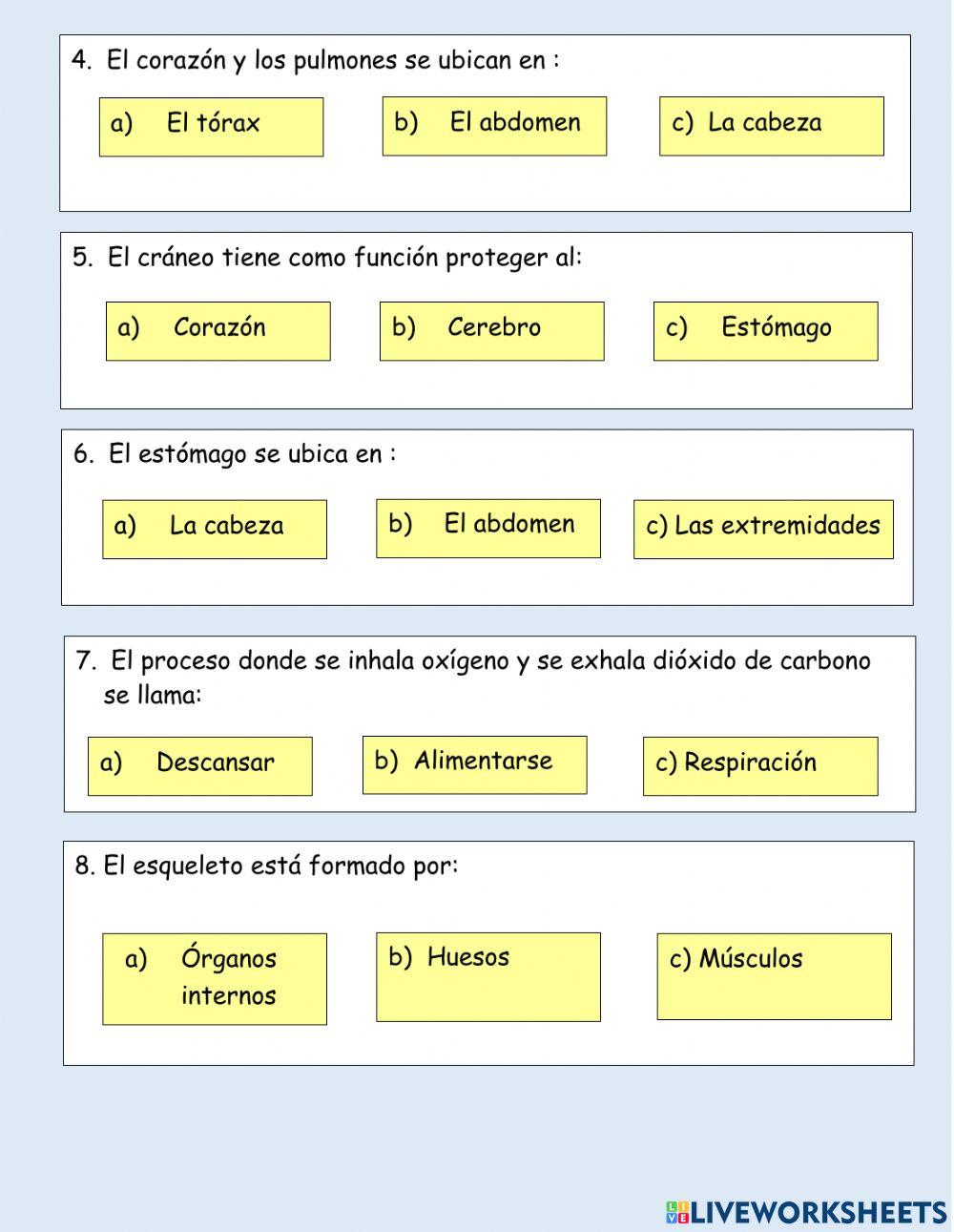 Evaluación cuerpo humano