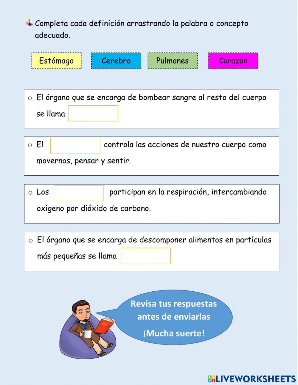 Evaluación cuerpo humano