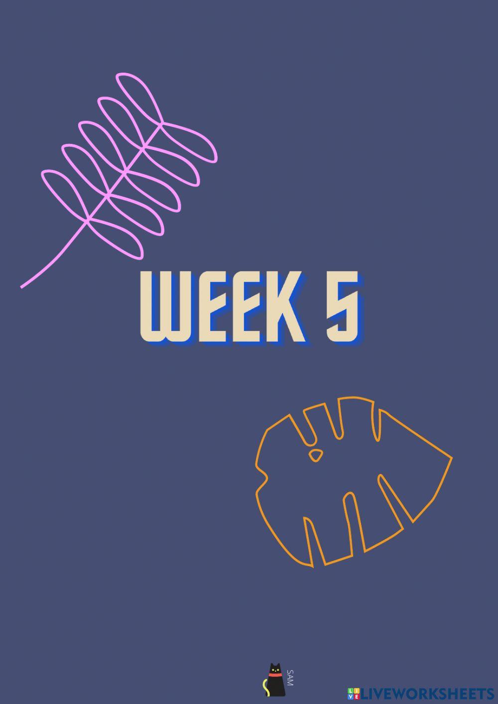 Bill Gates Chats with Ellen for the First Time