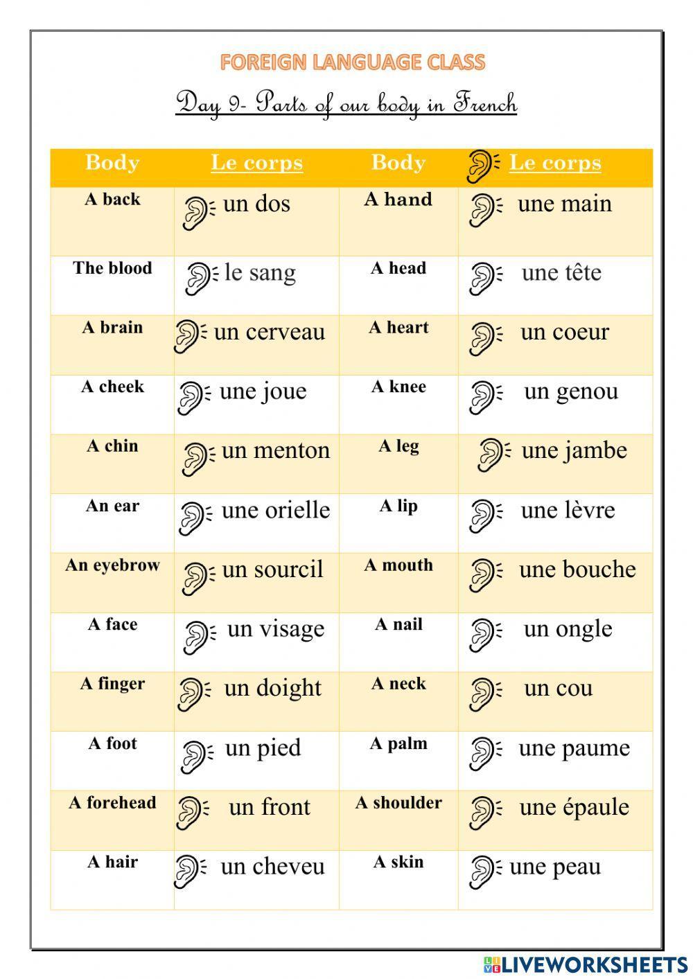 Body parts and miscellaneous phrases Body parts and miscellaneous phrases