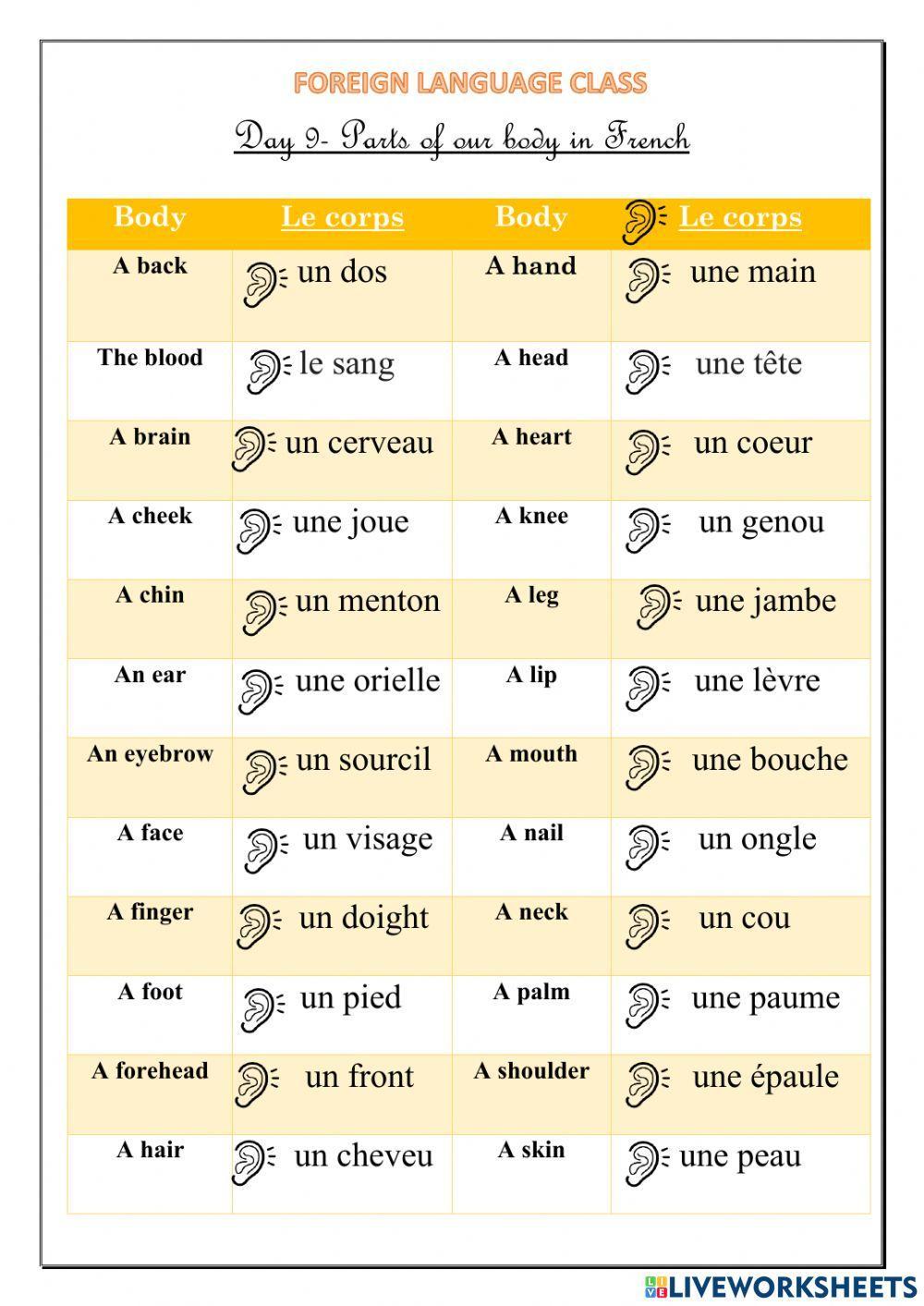 Body parts and miscellaneous phrases