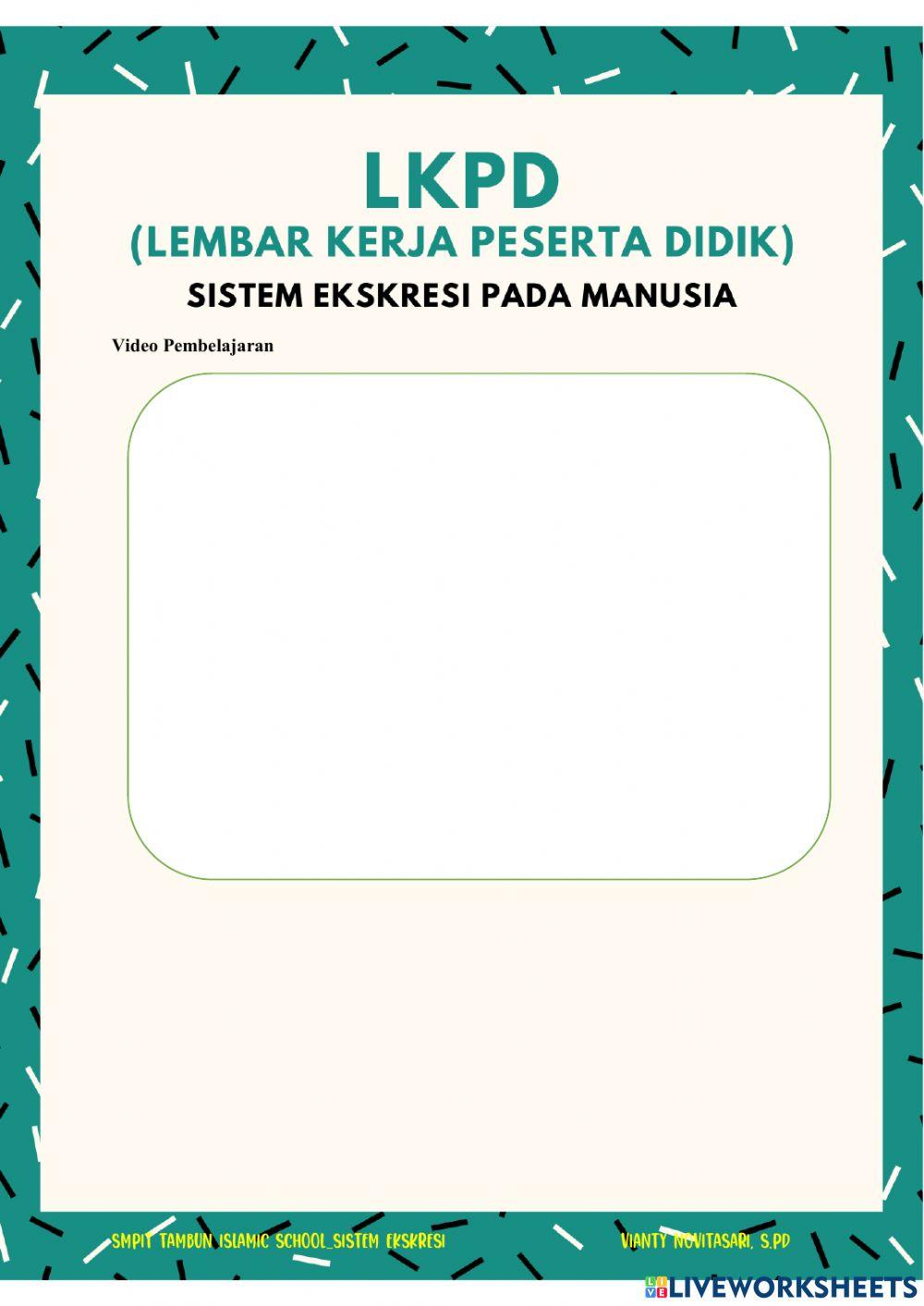 Sistem Ekskresi pada Manusia