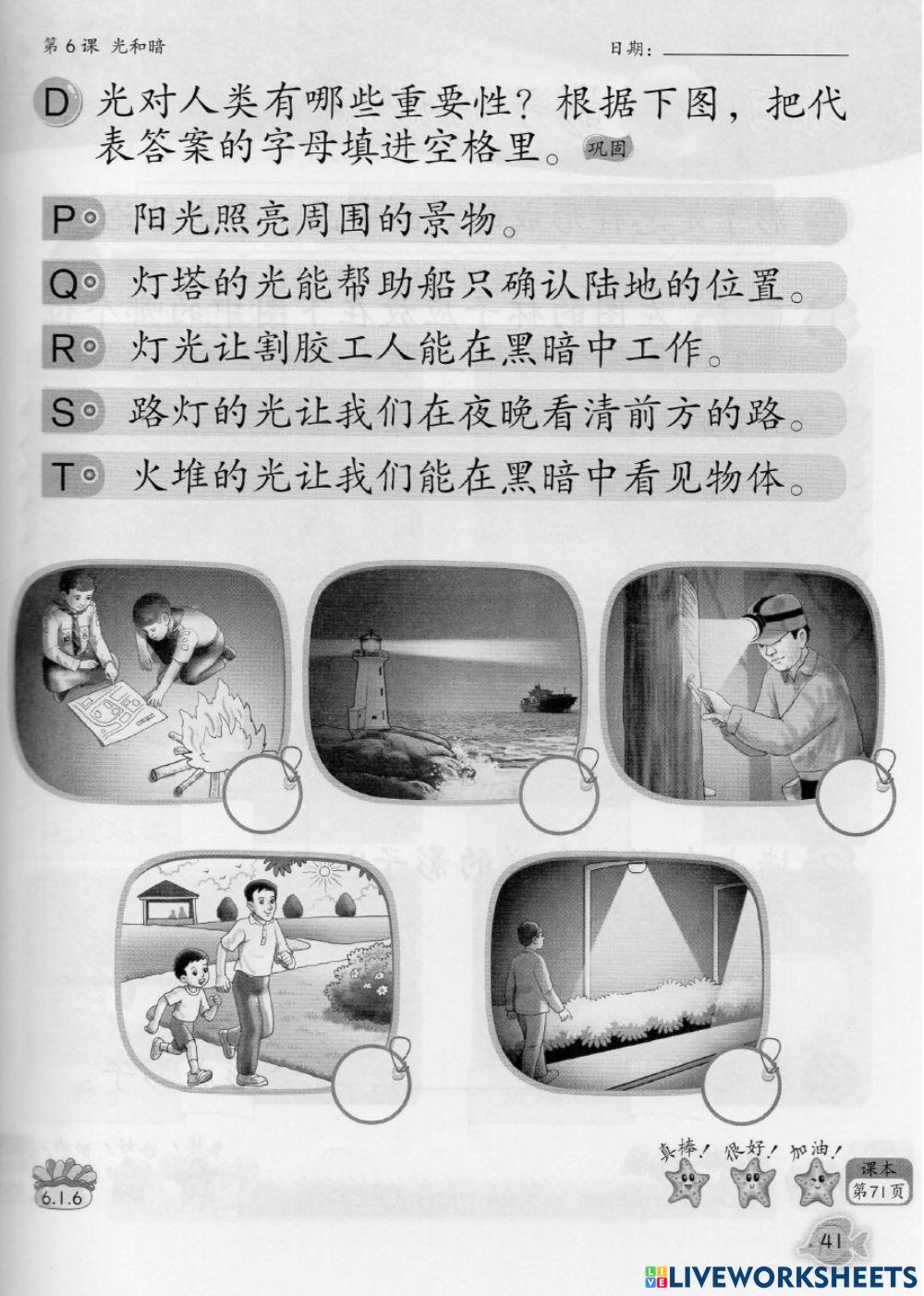 二年级科学：光和暗