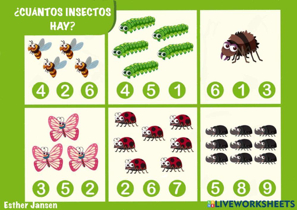 ¿Cuántos insectos hay?