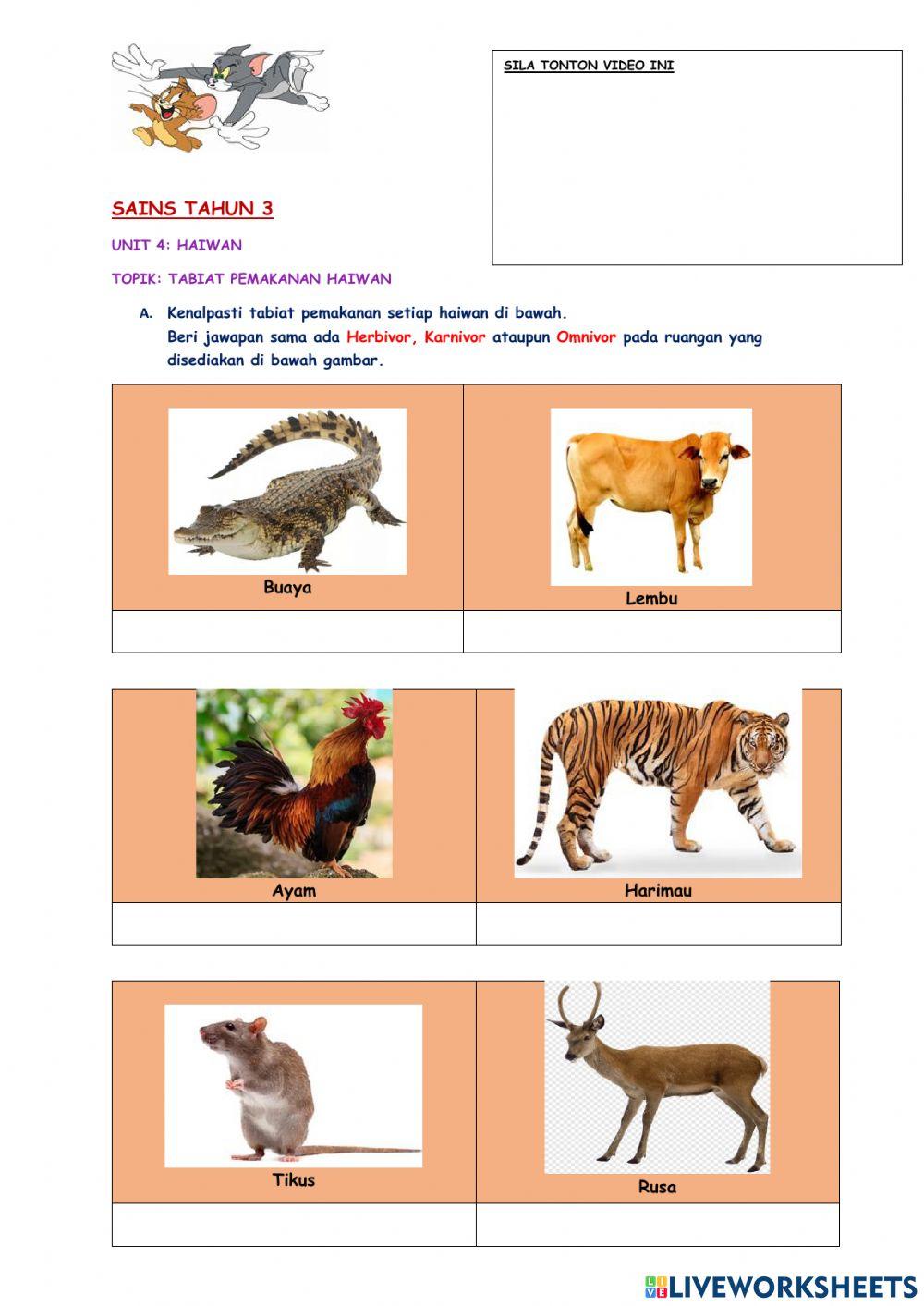 sains-tahun-3-tabiat-pemakanan-haiwan-online-exercise-for-live-worksheets