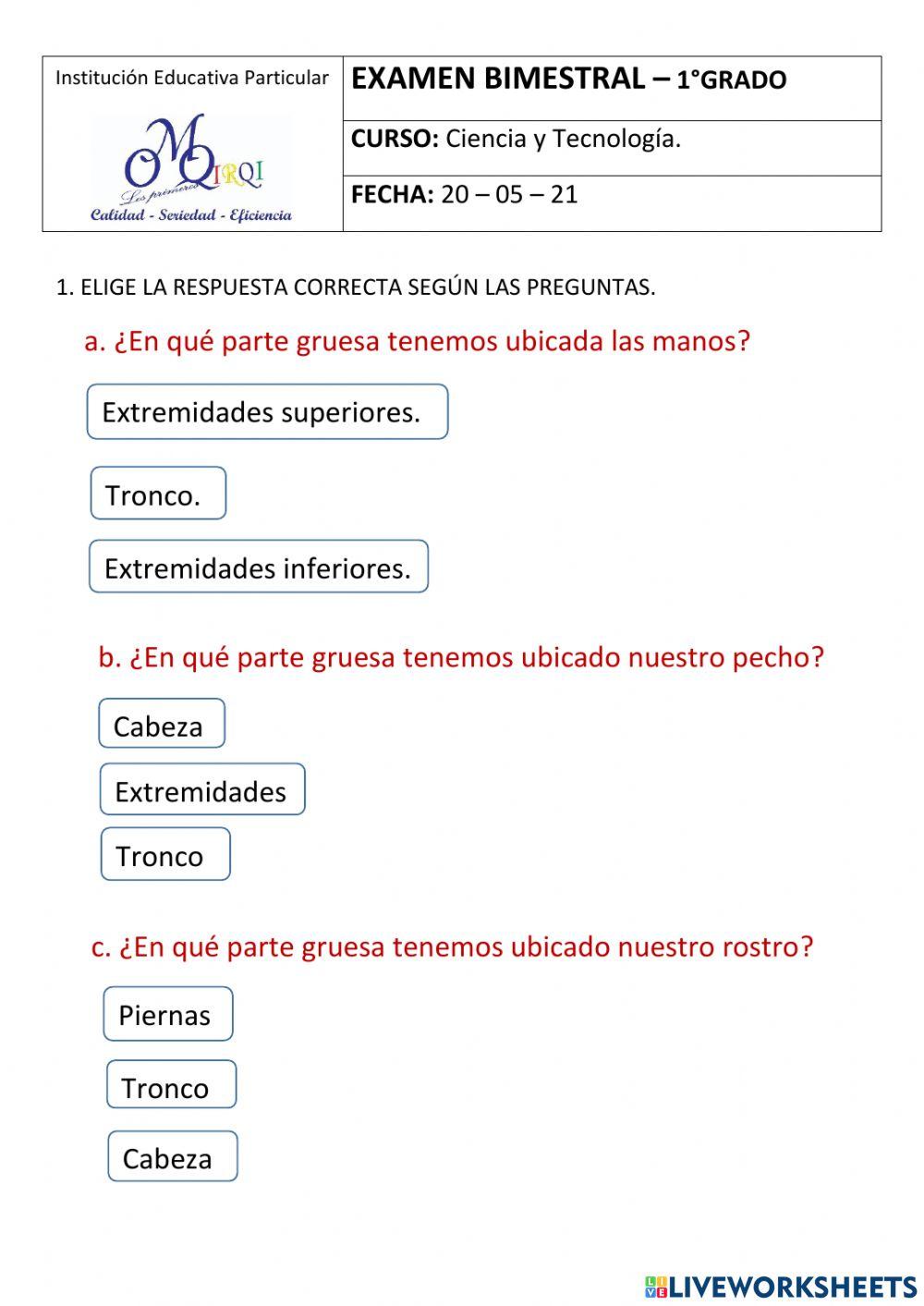 Examen bimestral