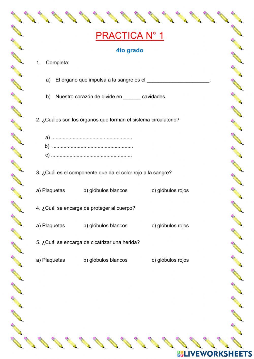 Sistema respiratorio y circulatorio