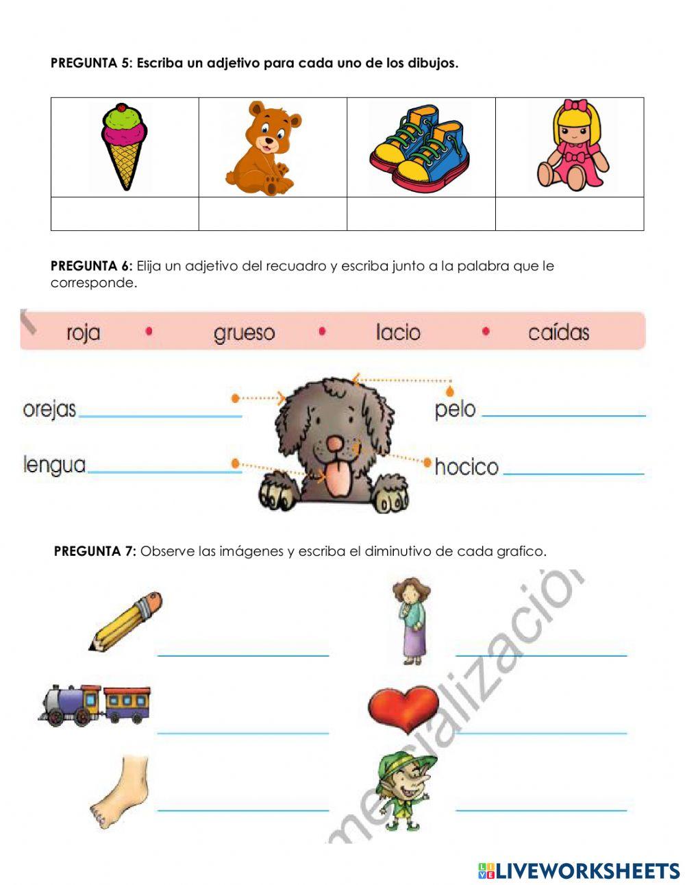 Evaluacion de lengua y literatura