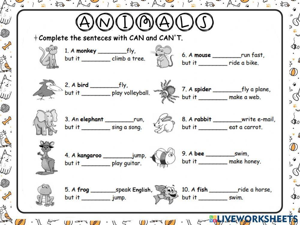 What can animals do?