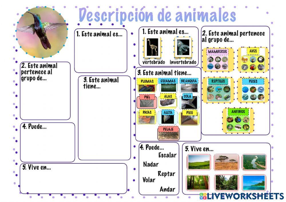 Descripciones de animales