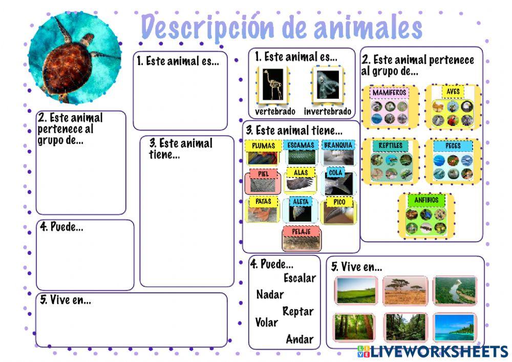Descripciones de animales
