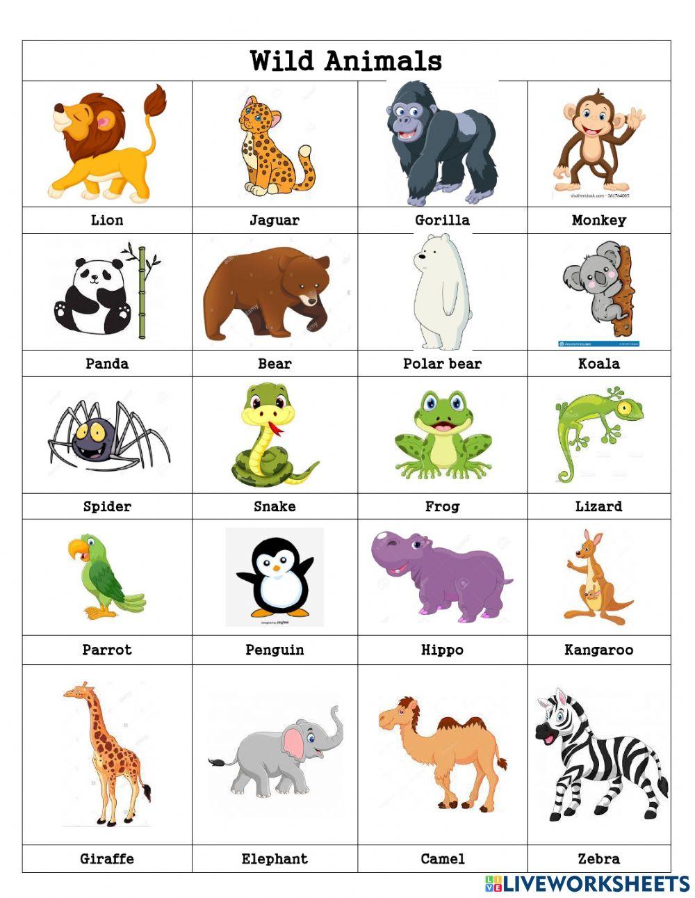 Animals and habitats