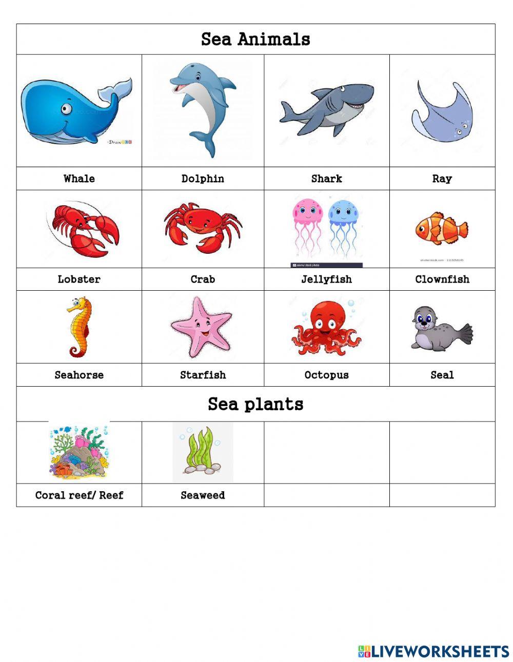 Animals and habitats