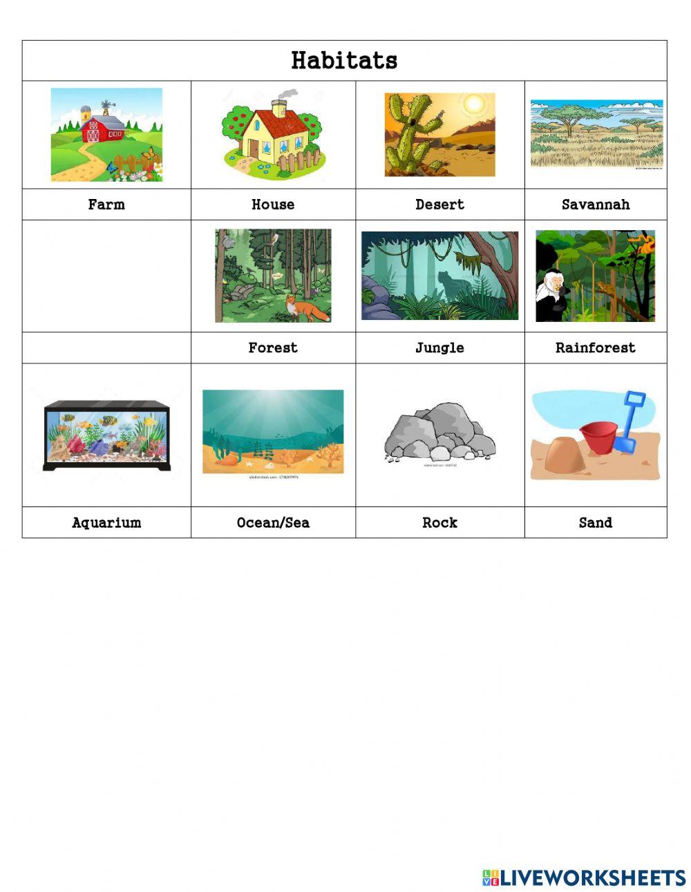 Animals and habitats