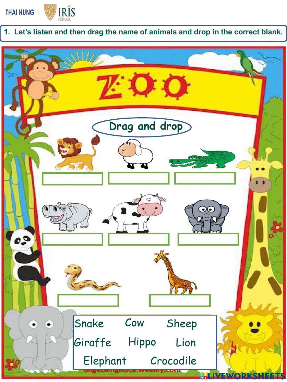 Worksheet about Animals for Kids