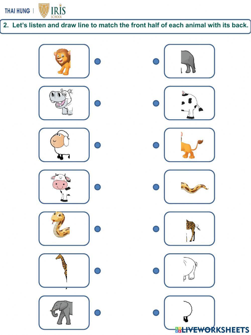 Worksheet about Animals for Kids