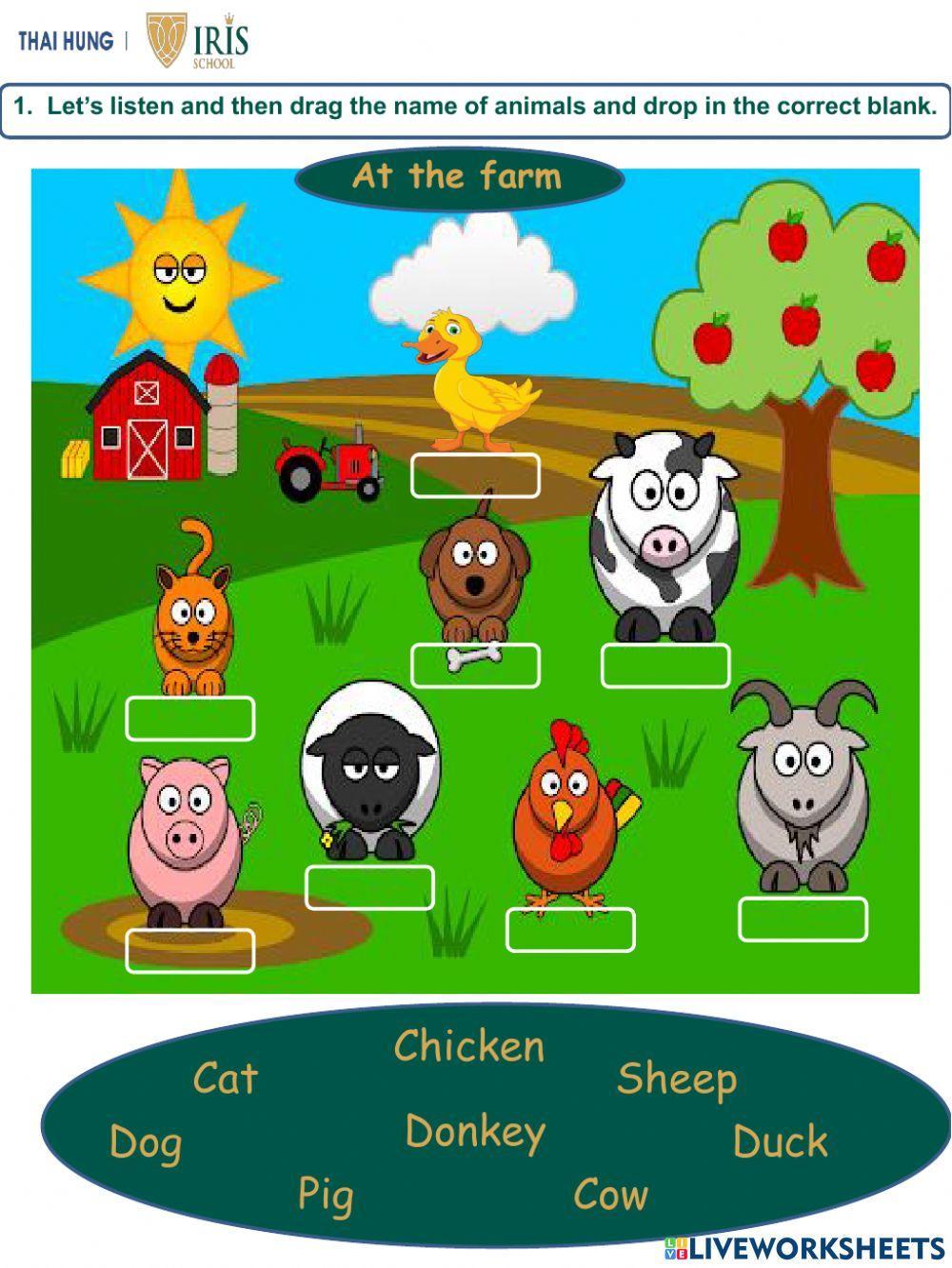 Worksheet about Animals for Kids Worksheet about Animals for Kids