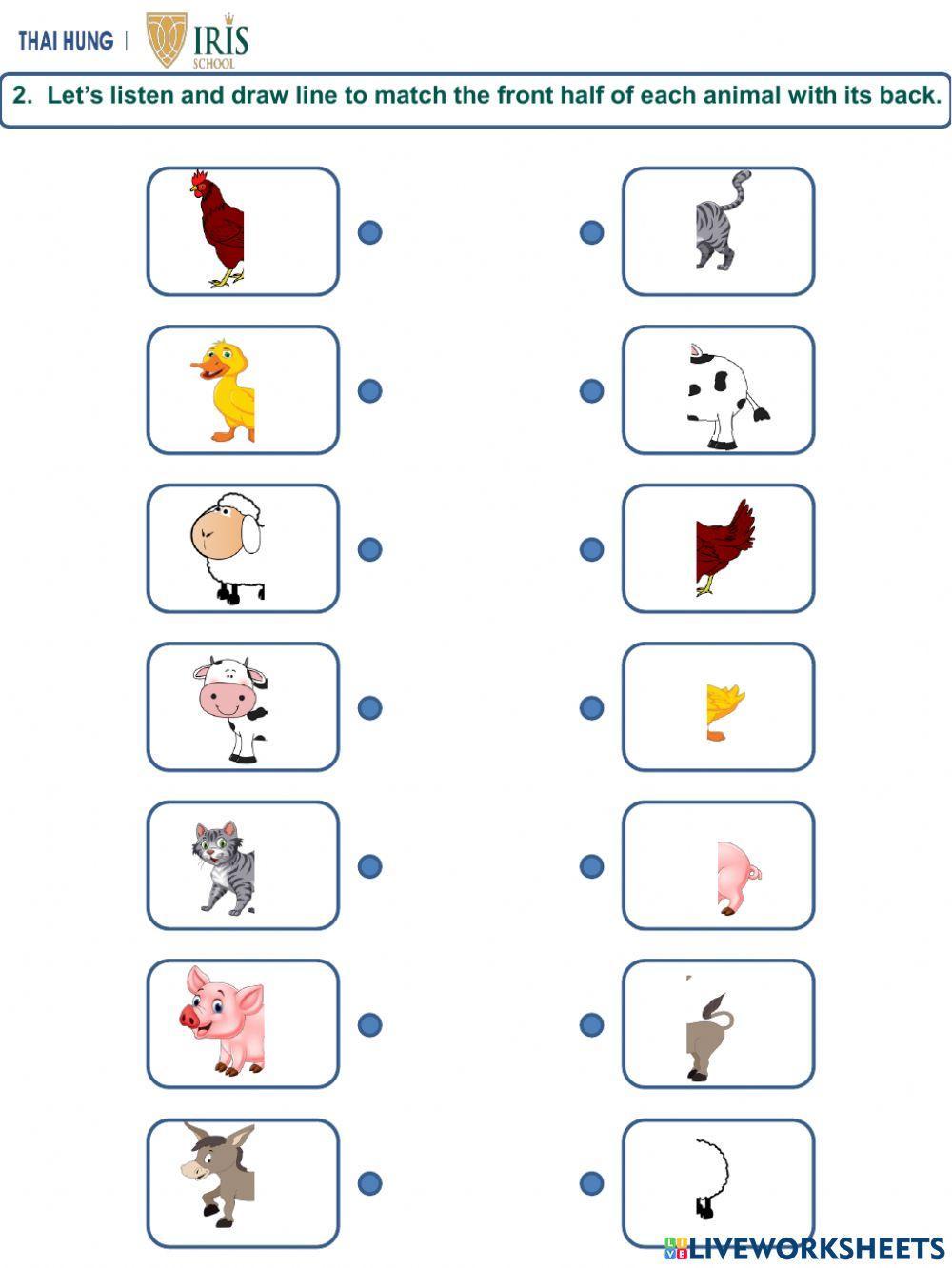 Worksheet about Animals for Kids Worksheet about Animals for Kids