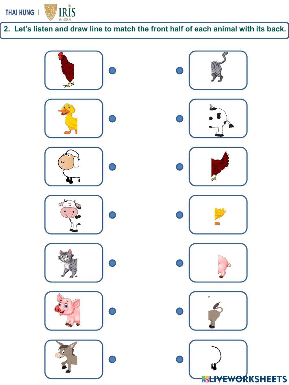 Worksheet about Animals for Kids