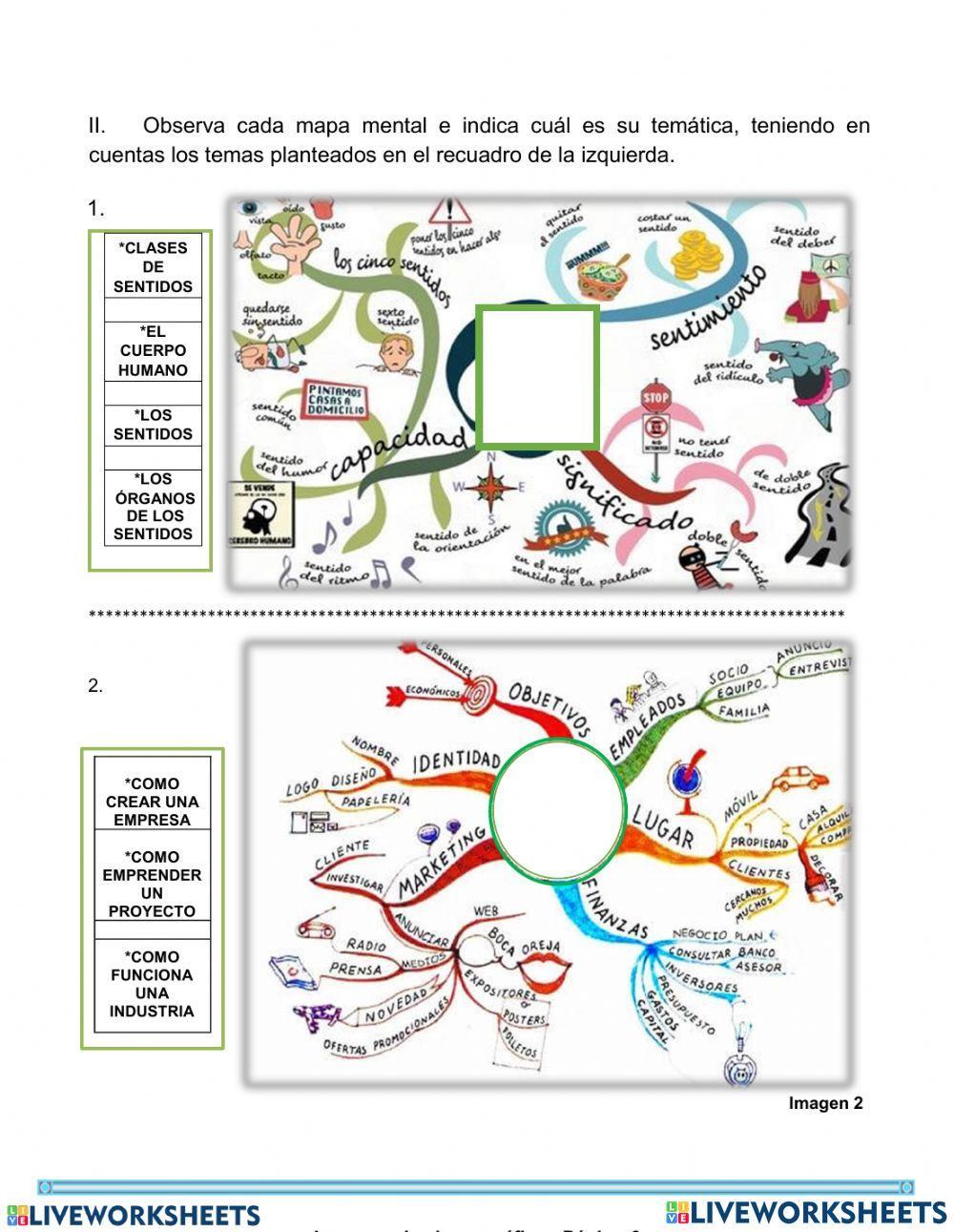 Organizadores gráficos 1.2