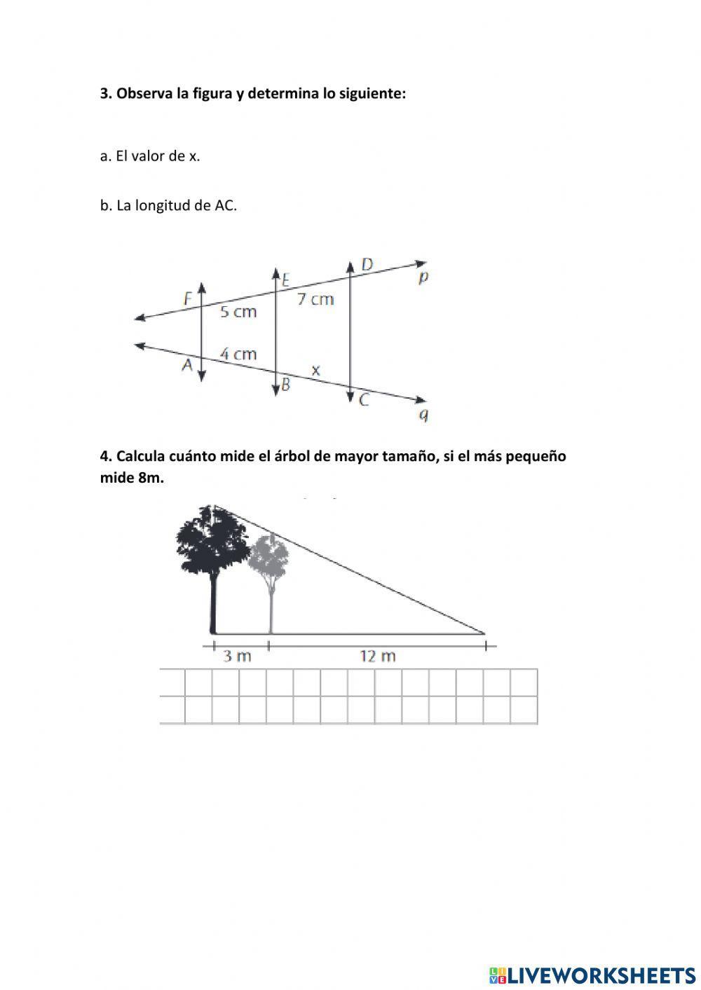 Leccion teorema de thales
