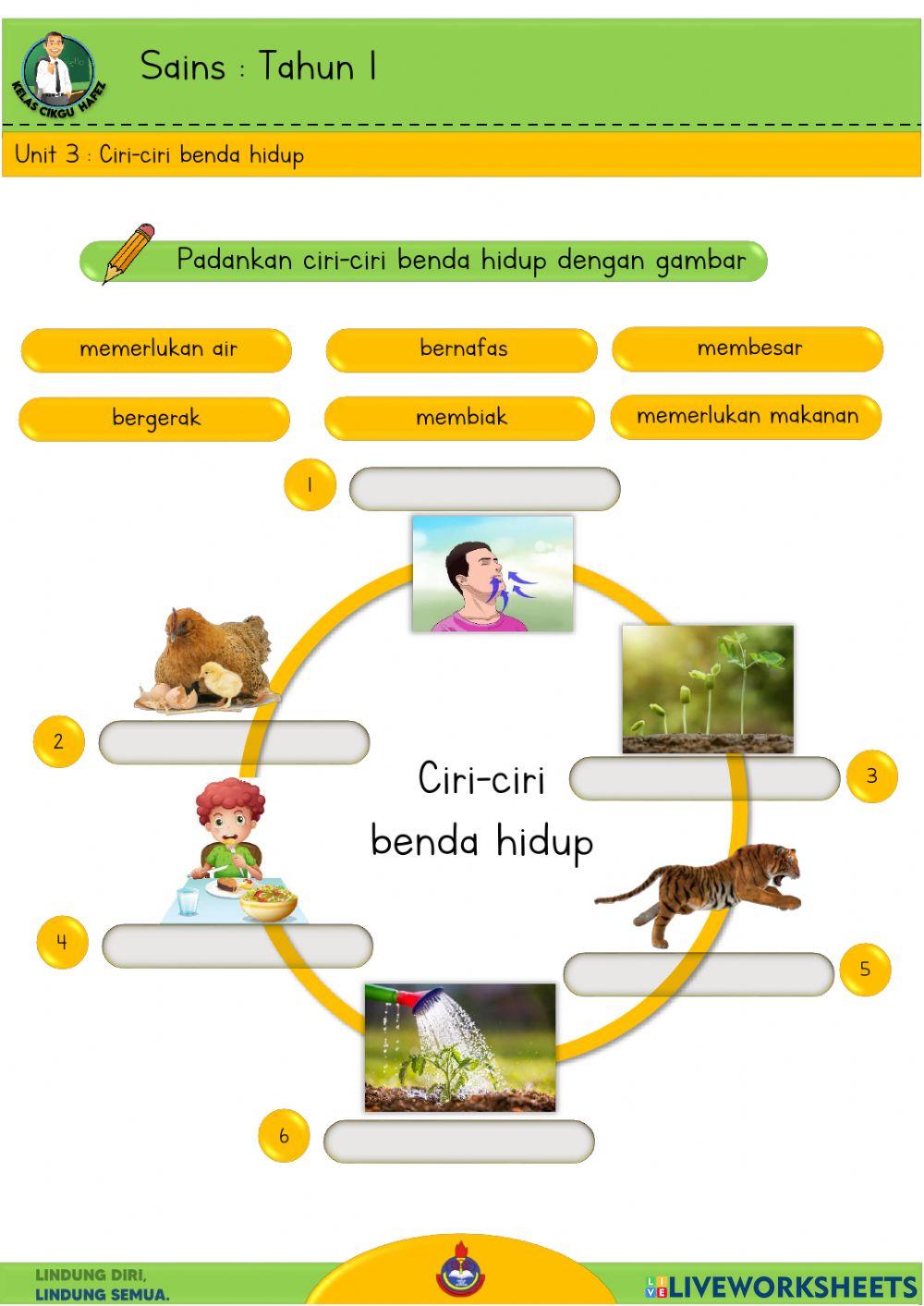 Sains T1 : Ciri benda hidup