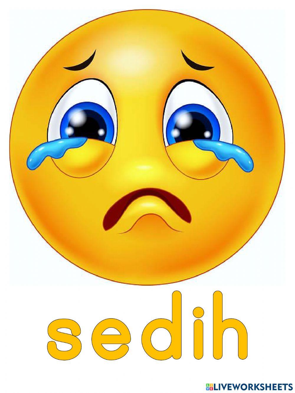 Pendidikan Kesihatan Tahun 1 PdPRM16 Unit 9 Bersih dan Selamat - Emosi Saya