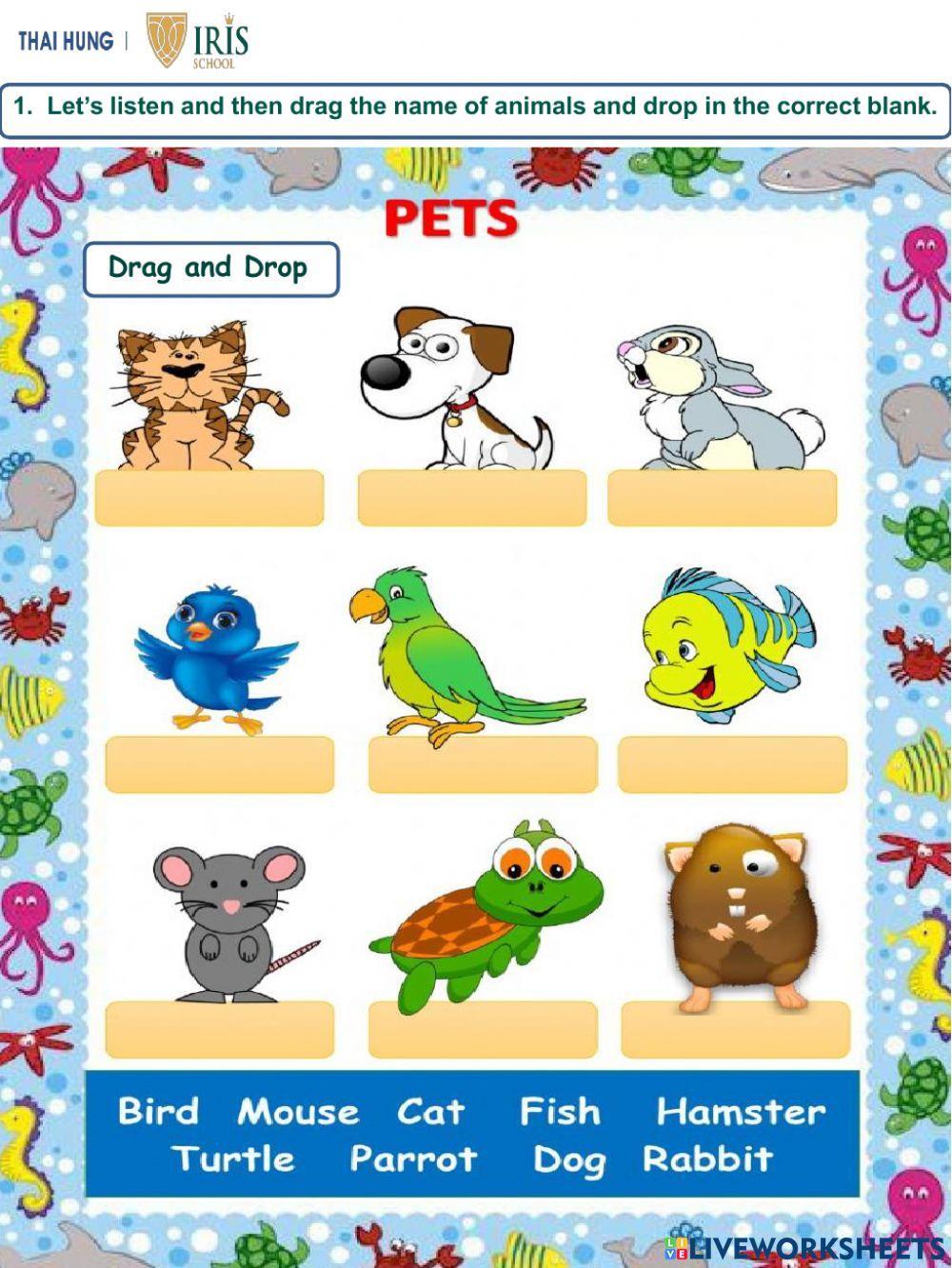 Worksheet about Animals for Kids