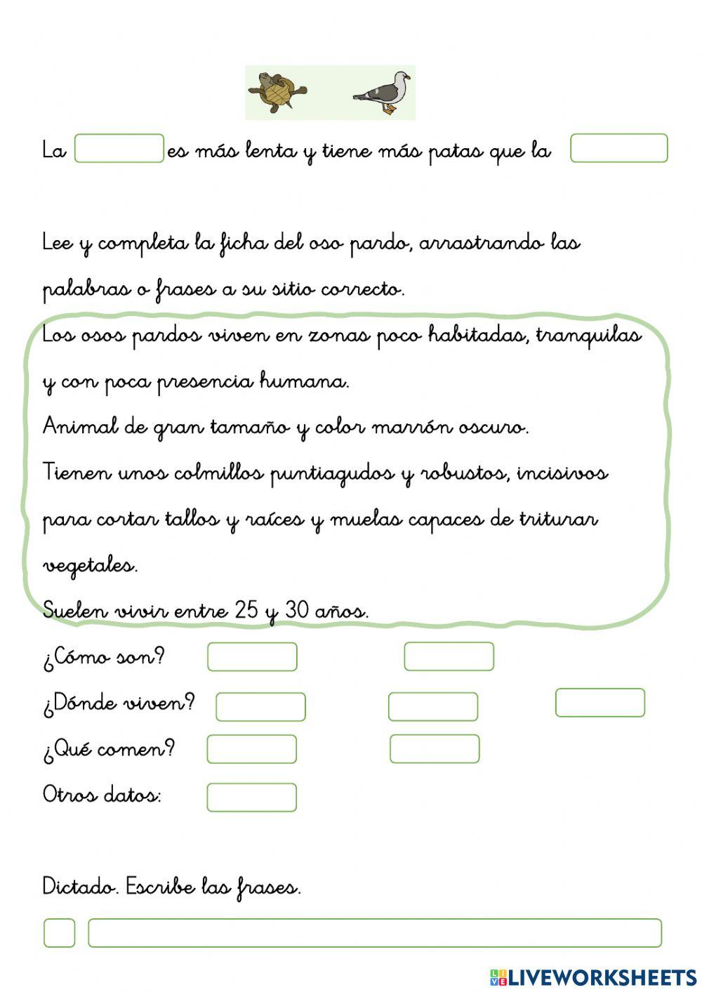repaso tema 12 lengua 1º
