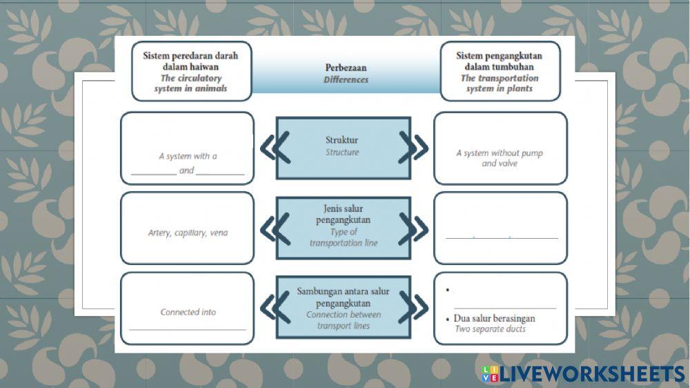 Transportation in plants and animals