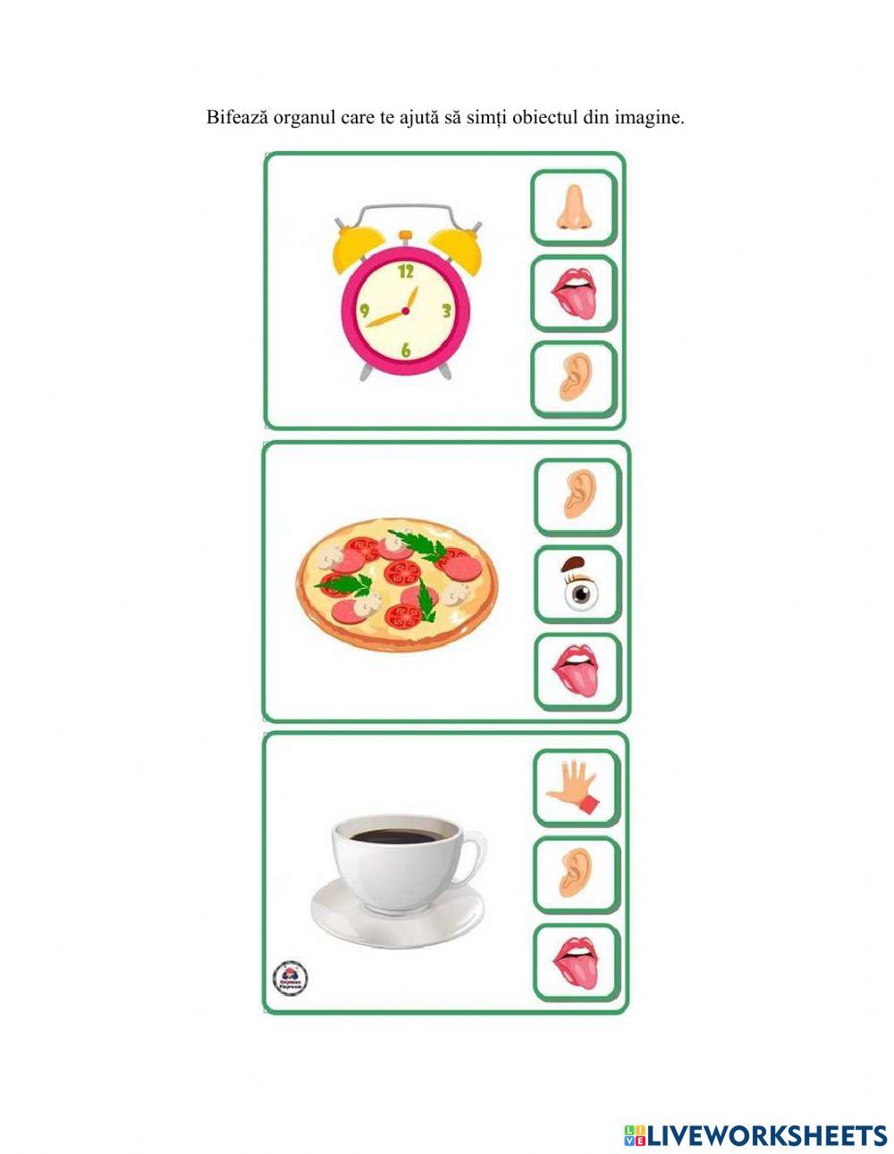 Organe de simț - gustul și auzul