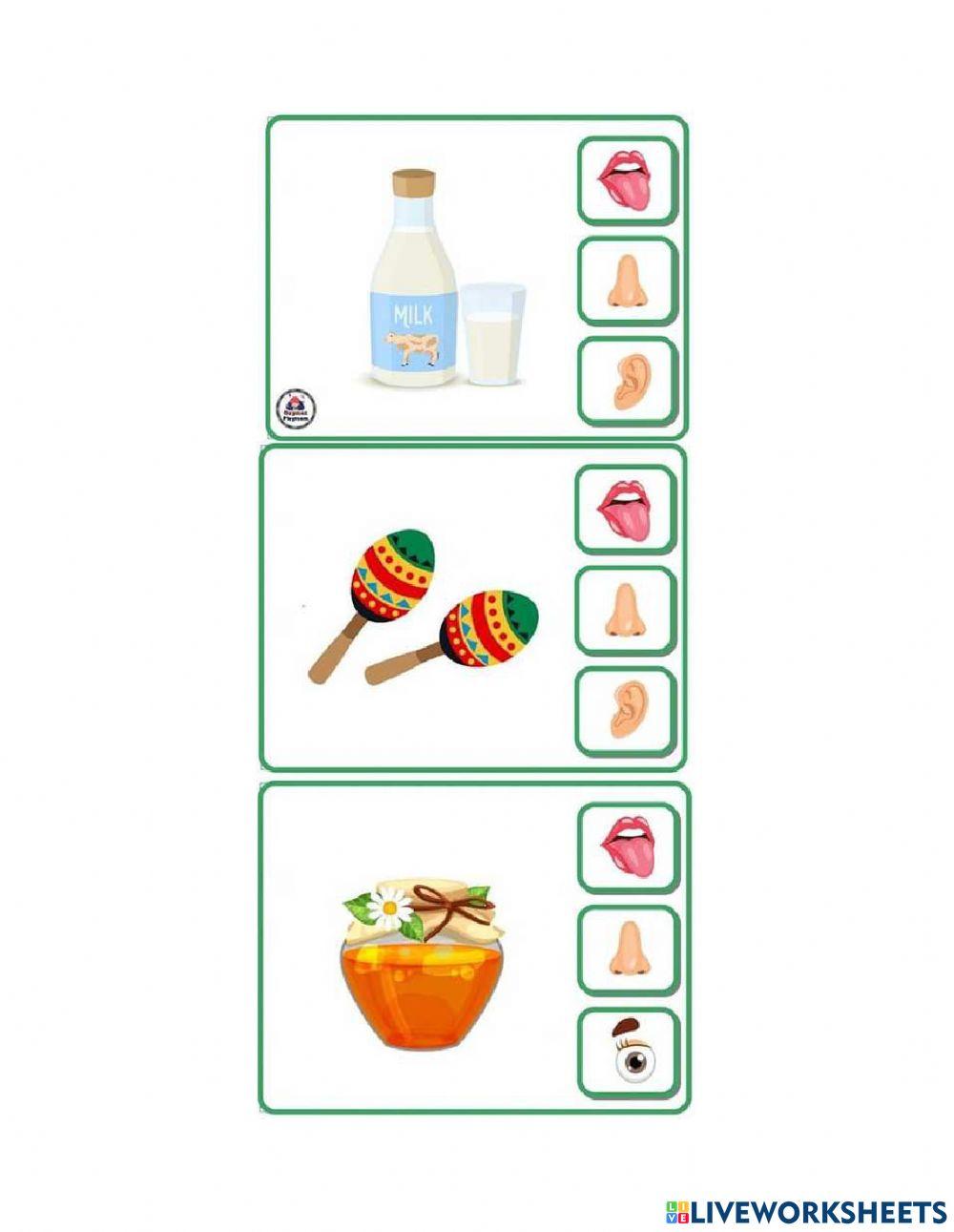 Organe de simț - gustul și auzul
