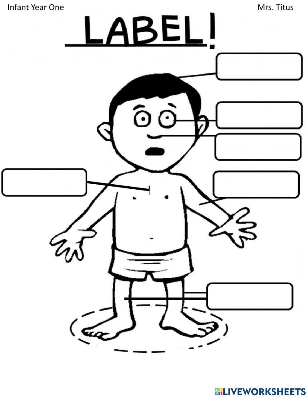 Labelling Body Parts Worksheet Labelling Body Parts Worksheet
