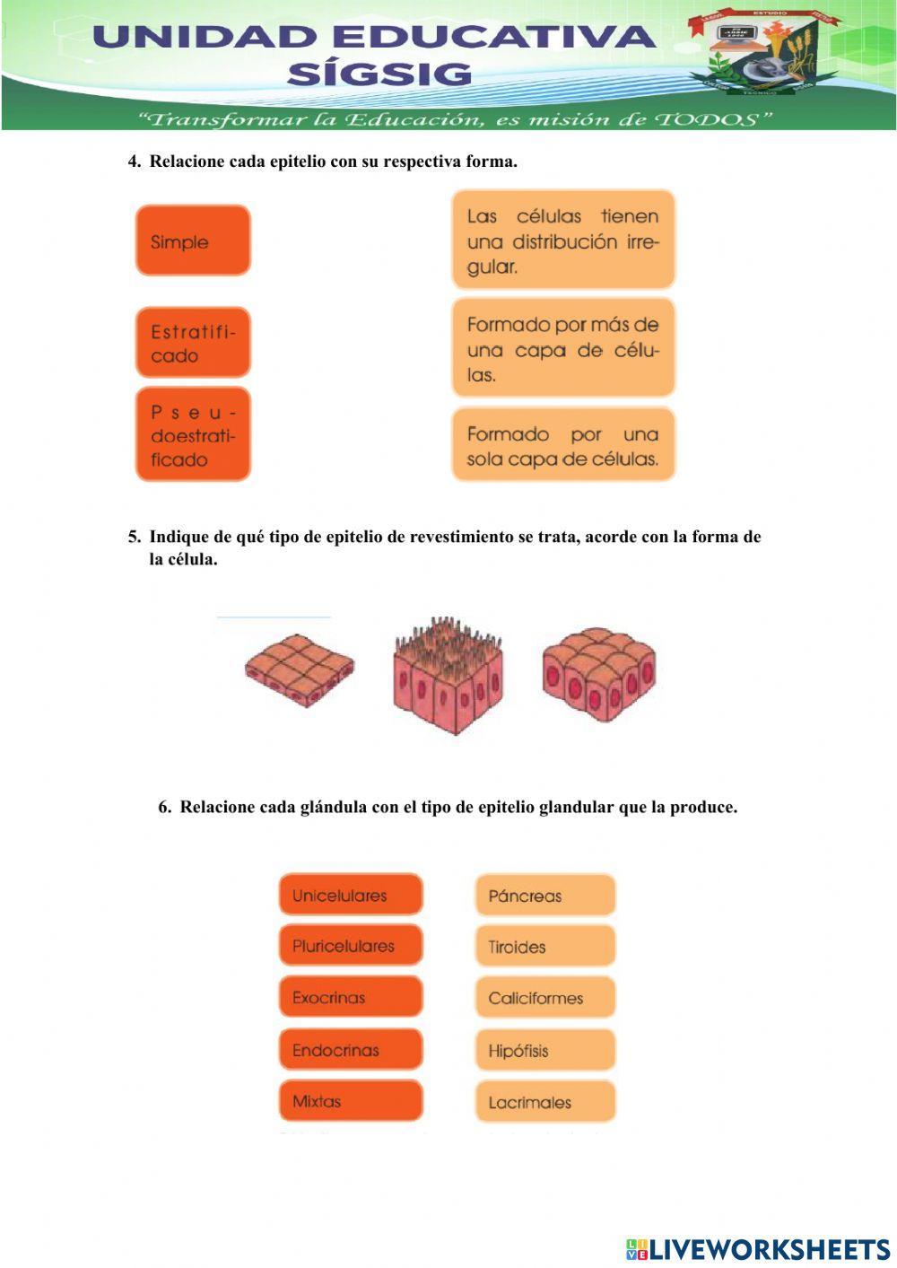 Unidad Educativa Sigsig