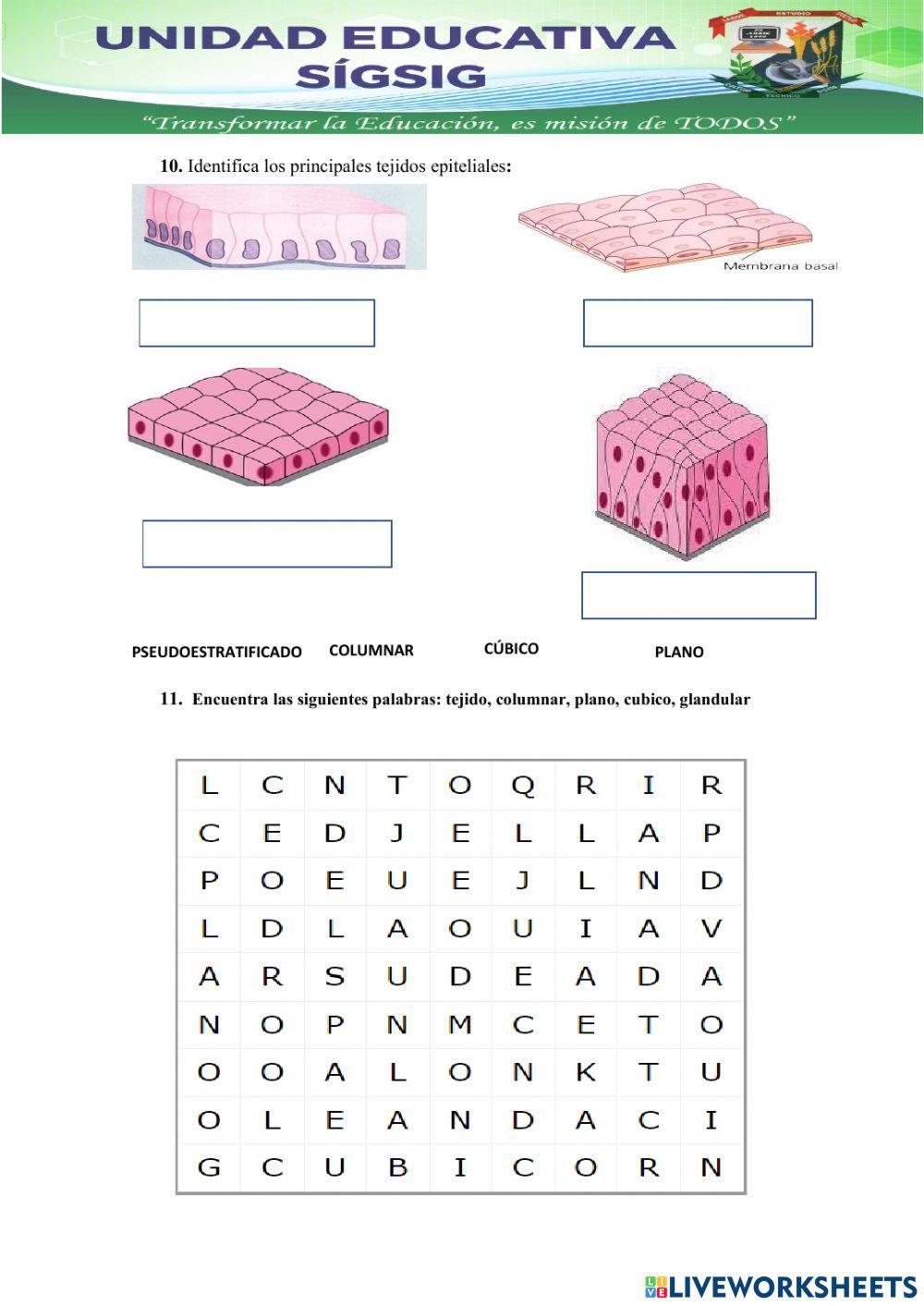 Unidad Educativa Sigsig