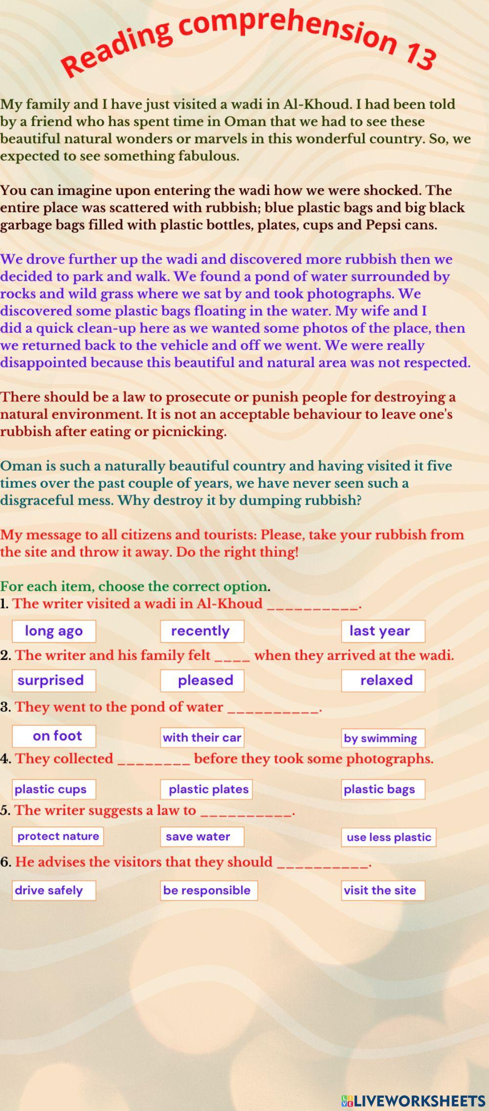 Reading Comprehension 13