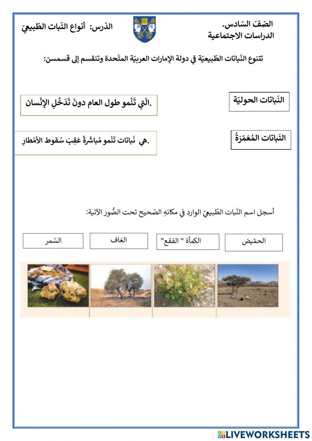 أنواع النّبات الطّبيعيّ