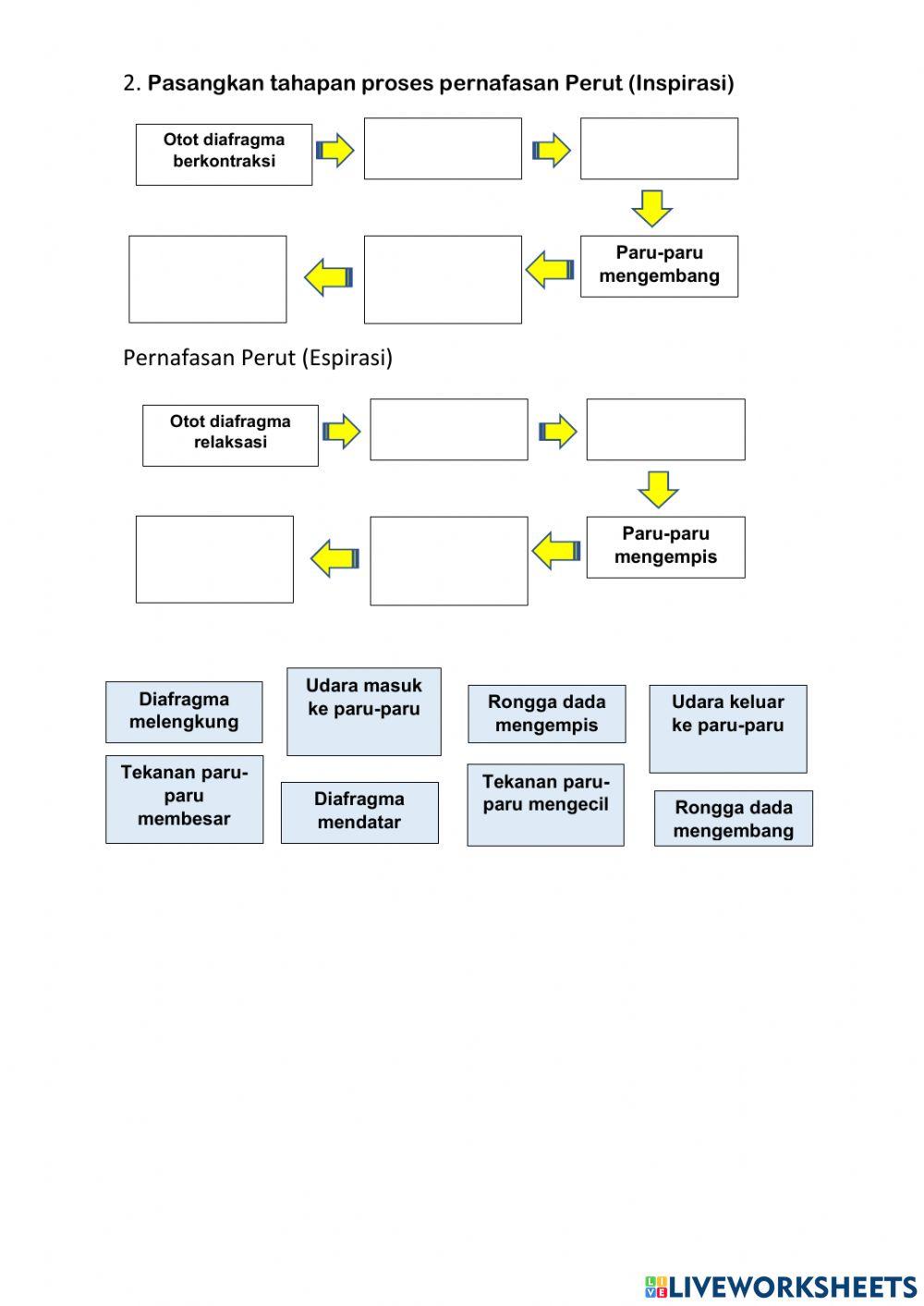 LKPD 2 Sistem Pernafasan Kelas 8