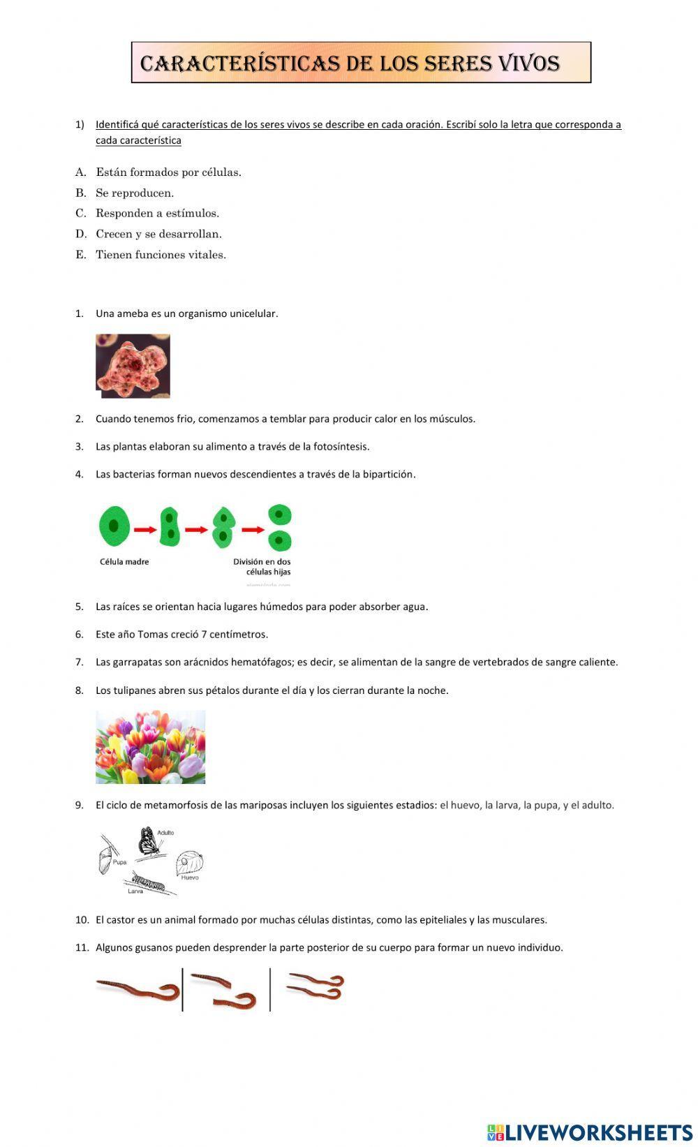 Características de los seres vivos