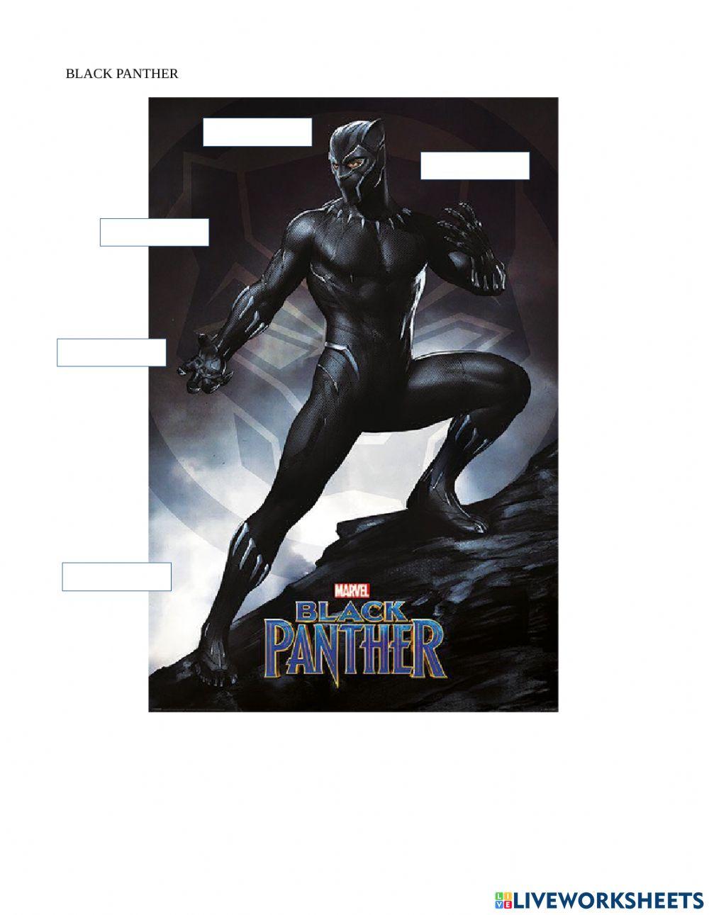 Descriptions: Black Panther