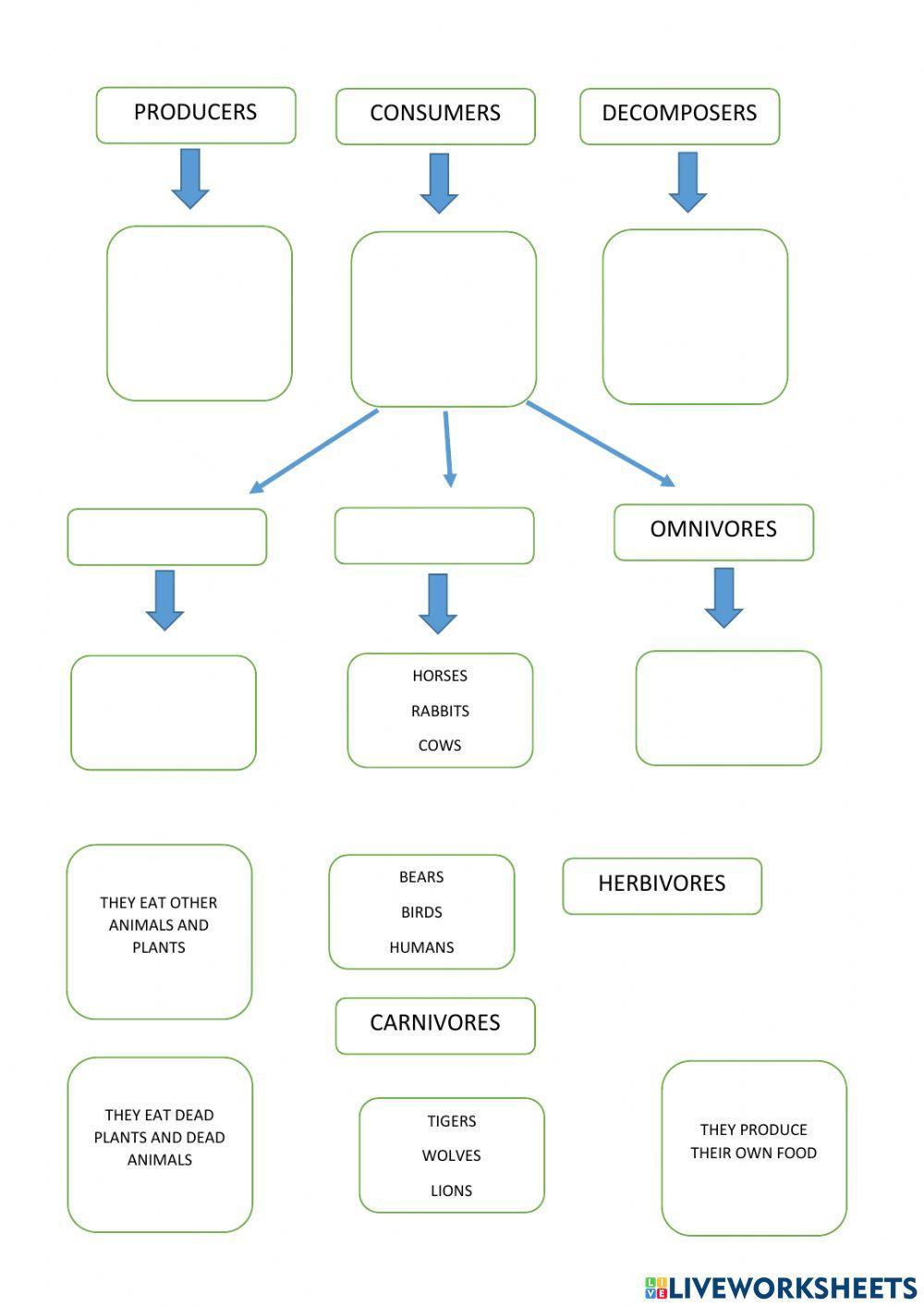 Producers, consumers, decomposers