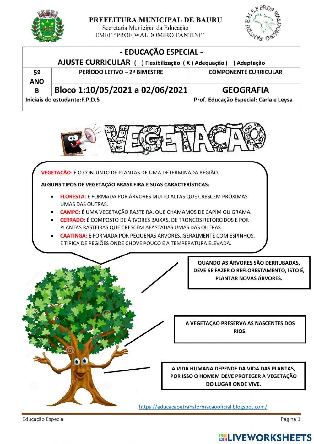 Vegetação e alguns tipos de vegetação brasileira.